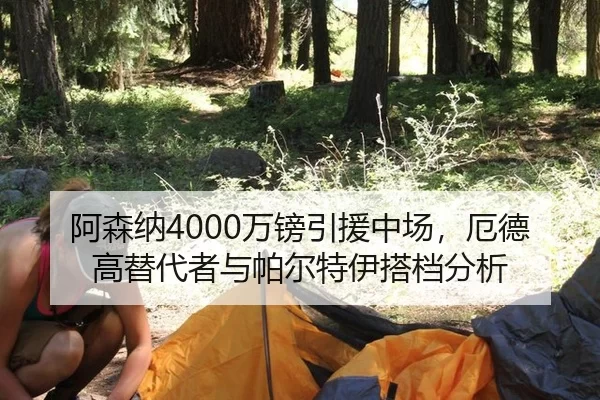 阿森纳4000万镑引援中场，厄德高替代者与帕尔特伊搭档分析